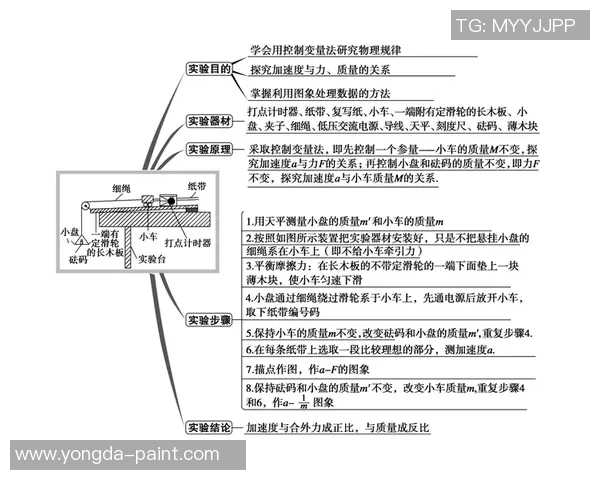 西安排球队的速度分析与战术应用探讨