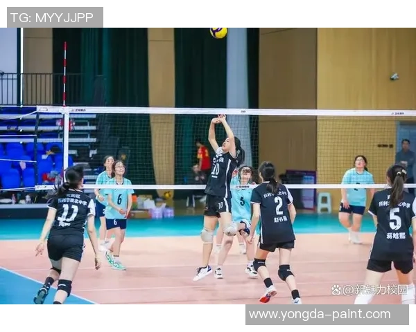 南京排球队在排球节奏排行榜中荣获第八名展现出强劲实力与团队合作精神
